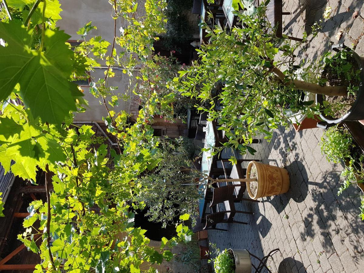 נאומבורג Hotel Restaurant Toscana Naumburg מראה חיצוני תמונה